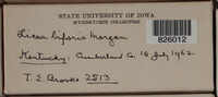 Image Associated With the Occurence